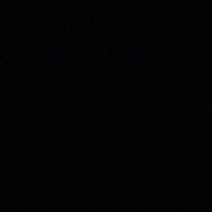 Meet your Posher, Curtis